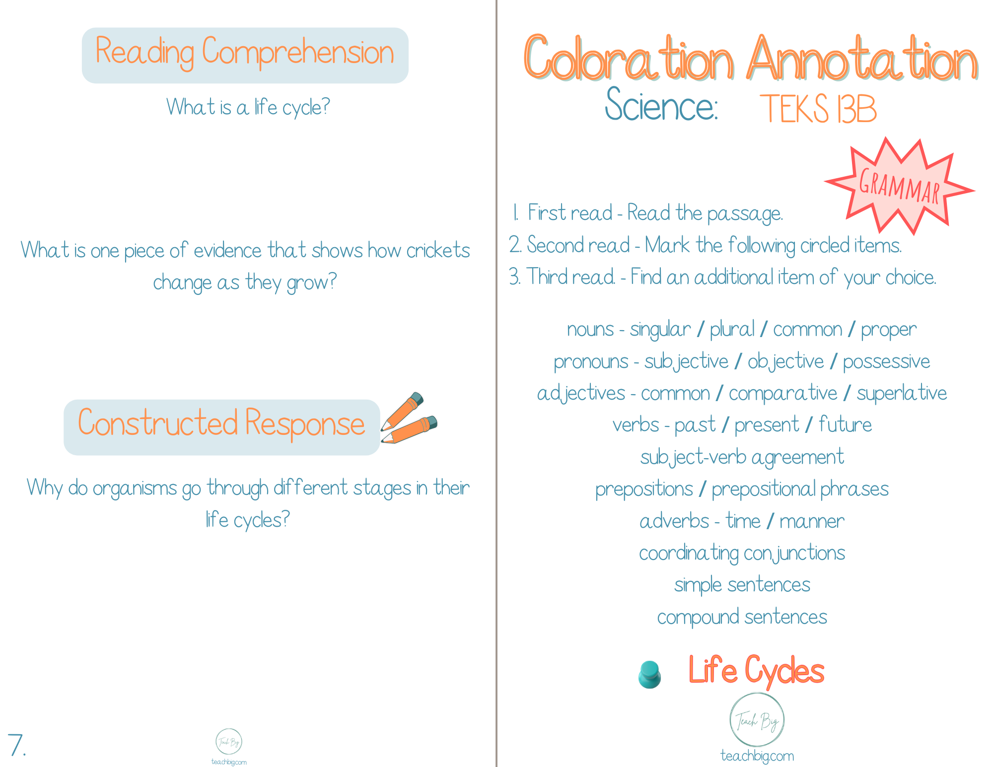 3Rd Grade Coloration Annotation: Science - Grammar