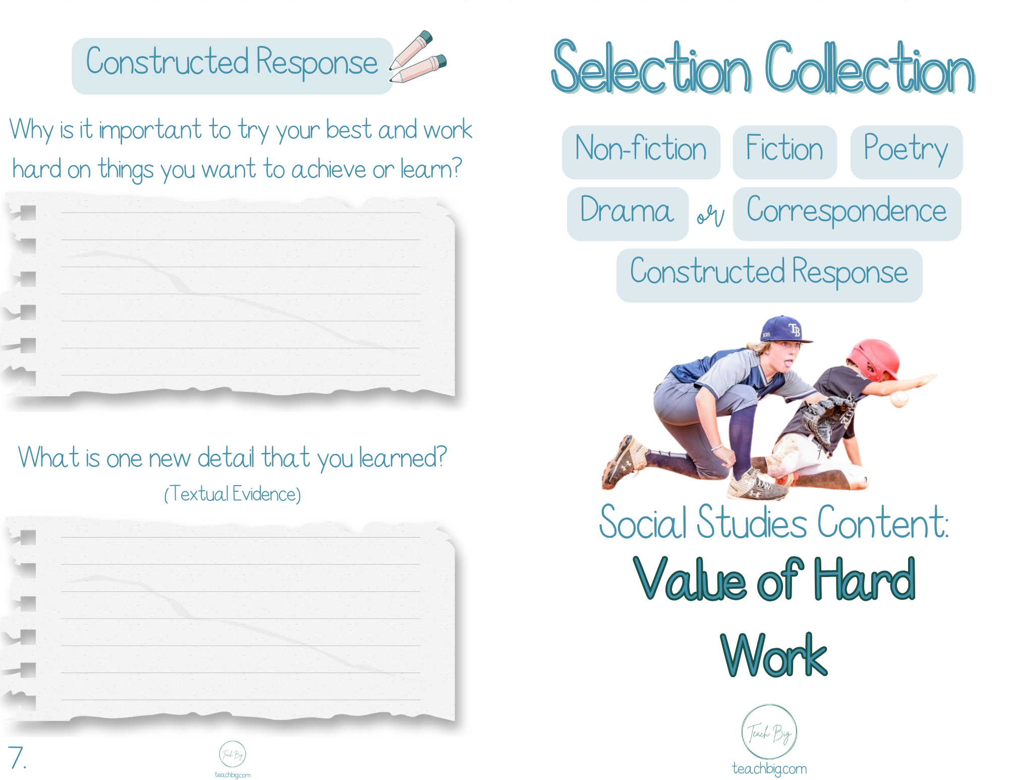 Selection Collection Social Studies Value Of Work| Included In The Selection Collection You Will