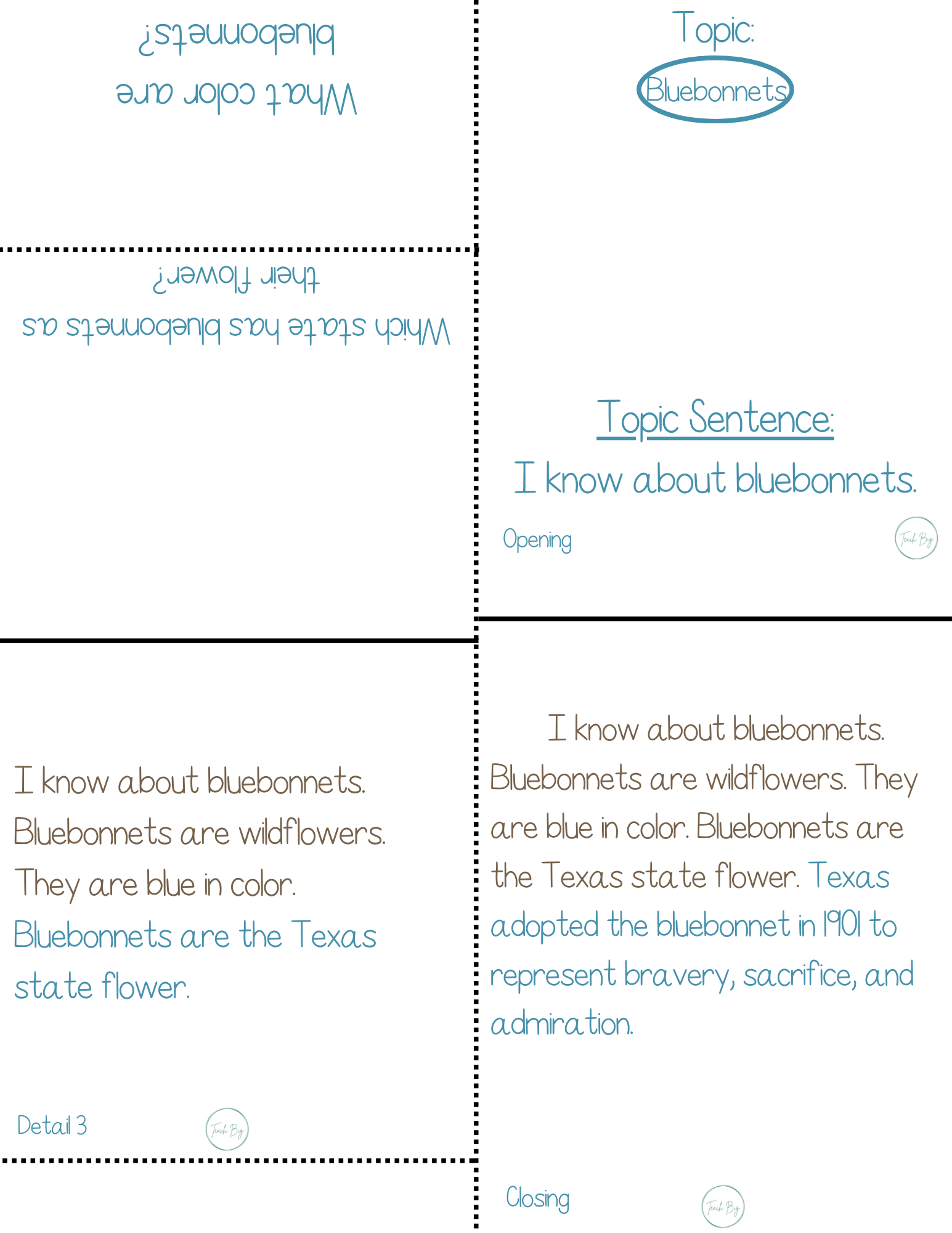 Paragraph Power: Social Studies – Bundle 1 | Whether It Is A Small Group Paired Student Activity