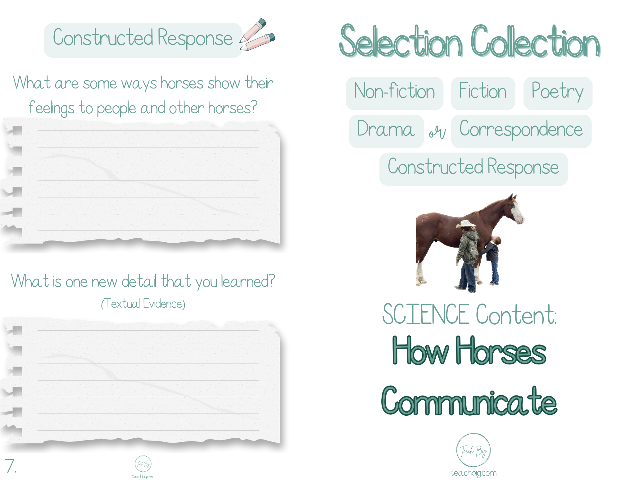 Selection Collection Science - Bundle 3 | Included In The You Will Find A Nonfiction Fiction Poetry