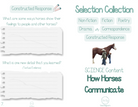 Selection Collection - Science How Horses Communicate | Included In The You Will Find A Nonfiction