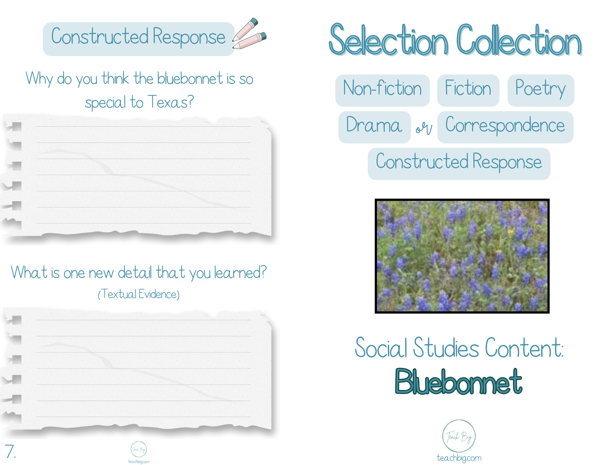 Selection Collection Blue Bonnet | Included In The Selection You Will Find A Nonfiction Piece