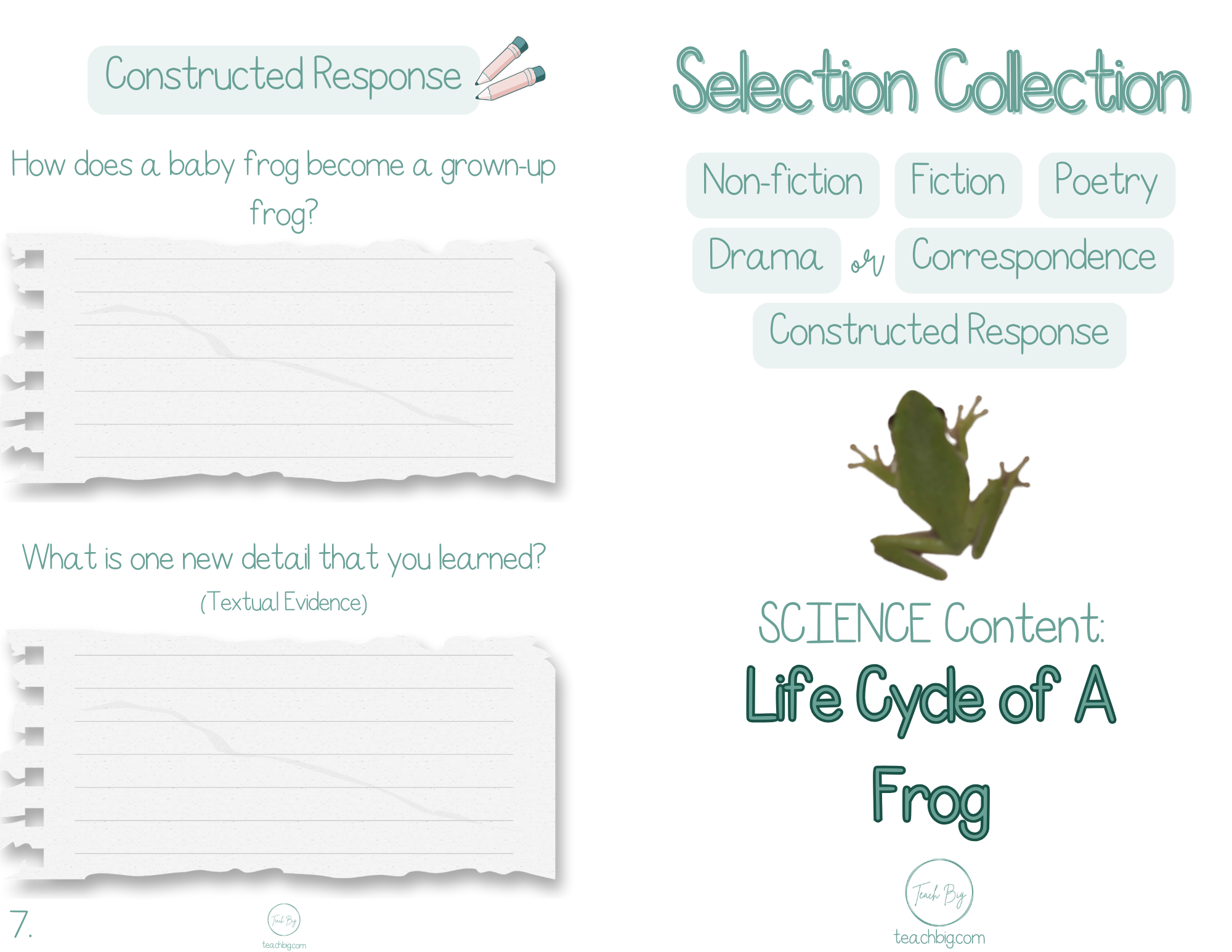 Selection Collection Bundle 1 - Science | Included In The You Will Find A Nonfiction Fiction Poetry