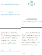 Paragraph Power Science The Lifecycle Of Frogs | Whether It Is A Small Group Paired Student Activity