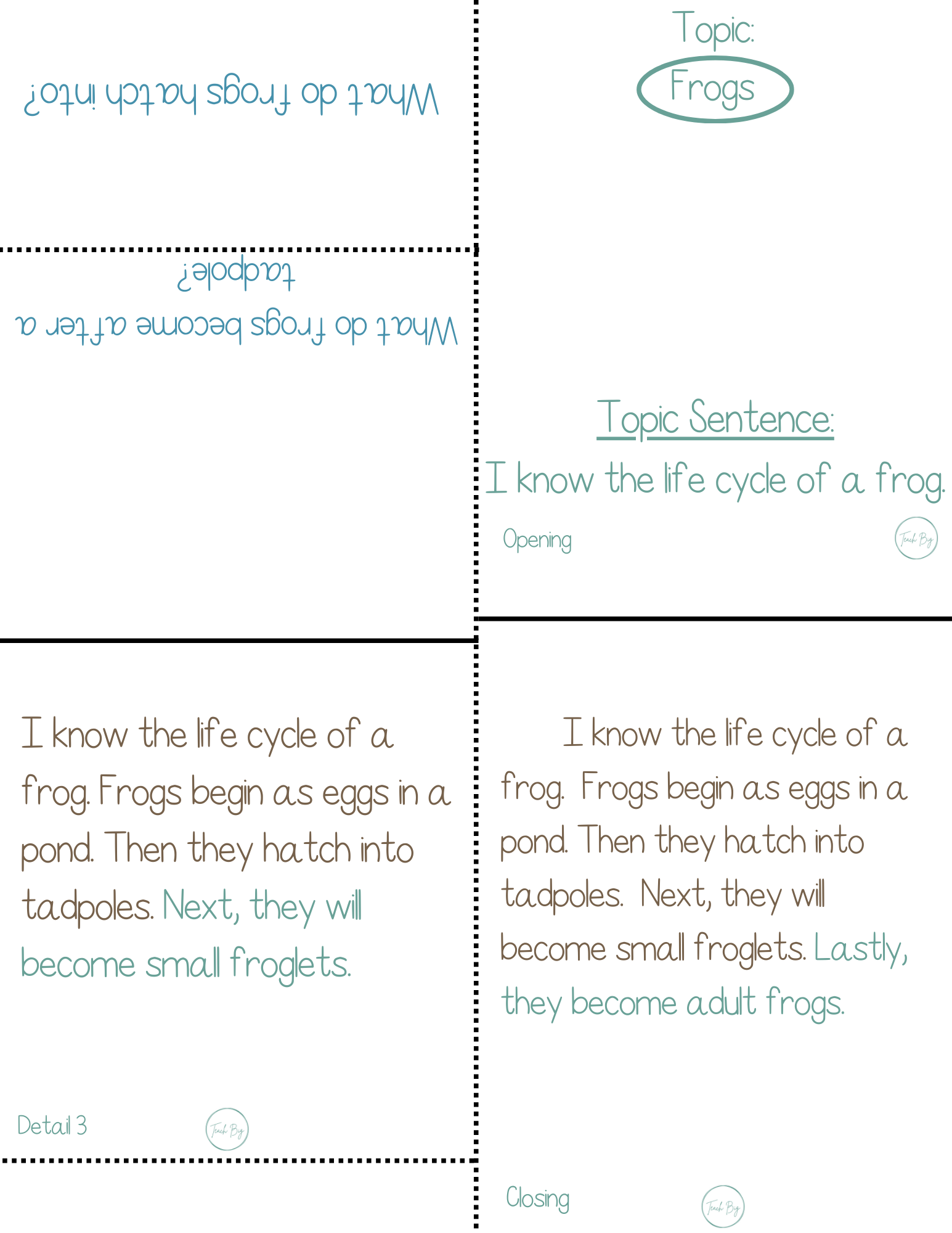 Paragraph Power Science The Lifecycle Of Frogs | Whether It Is A Small Group Paired Student Activity