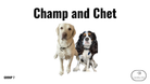 Direct Decodable – Champ And Chet - Group 7 Level A