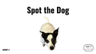 Direct Decodable – Spot The Dog - Group 4 Level A