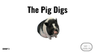 Direct Decodable – The Pig Digs - Group 3 Level A