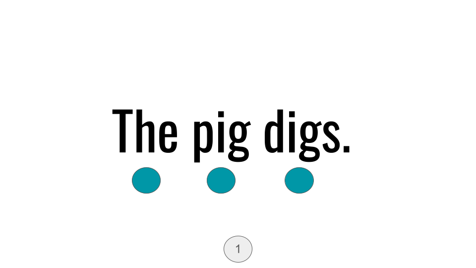 Direct Decodable – The Pig Digs - Group 3 Level A