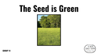 Direct Decodable – The Seed Is Green - Group 14 Level A