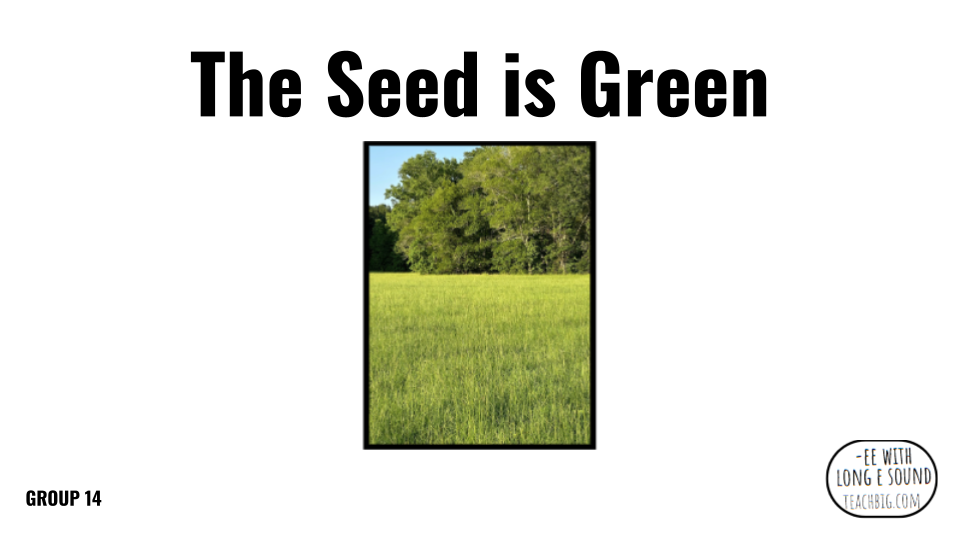 Direct Decodable – The Seed Is Green - Group 14 Level A