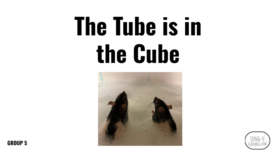 Direct Decodable – The Tube Is In The Cube - Group 5 Level A