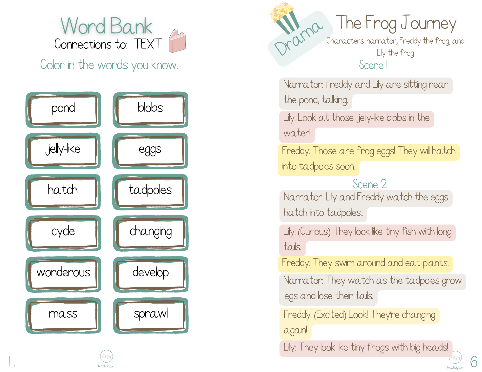 Selection Collection - Science Life Cycle Of A Frog | Included In The You Will Find Nonfiction