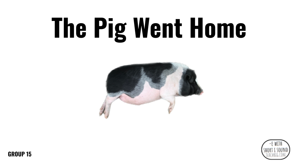 Direct Decodable – The Pig Went Home - Group 15 Level A