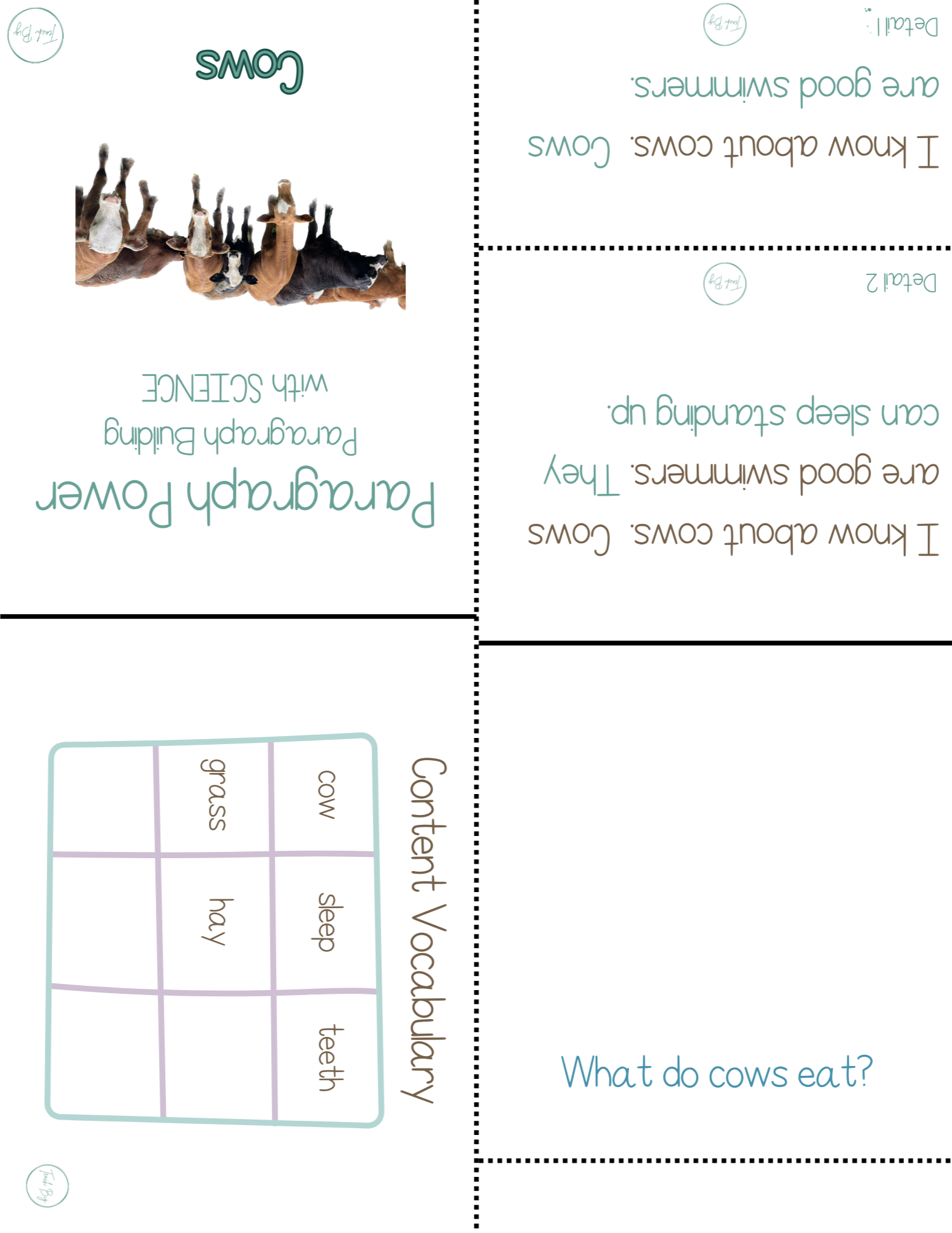 Paragraph Power: Science – Bundle 1 | Whether It Is A Small Group Paired Student Activity Or An