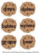 Singular & Plural Nouns Cookies Activity - This Resource Is Great For Grades 2-3.