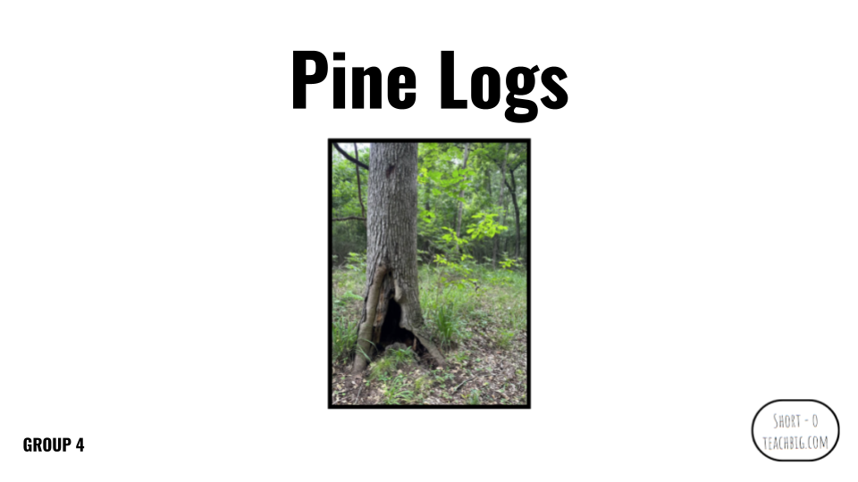 Direct Decodable – Pine Logs - Group 4 Level A