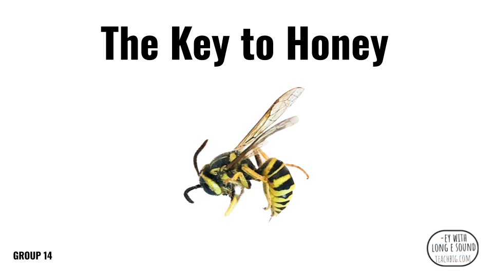 Direct Decodable – The Key To Honey - Group 14 Level A