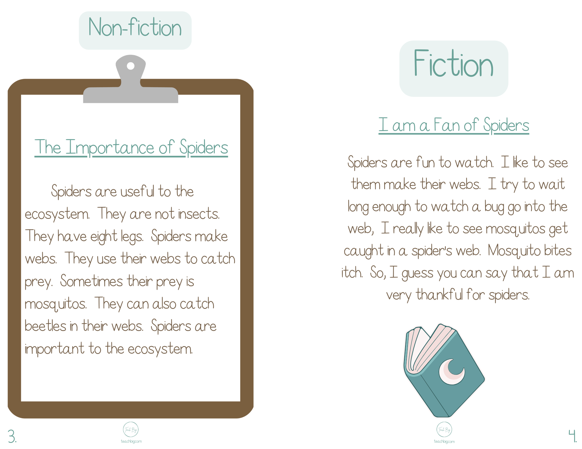 Selection Collection Spiders | Included In The Selection You Will Find A Nonfiction Piece Fiction