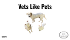 Direct Decodable – Vets Like Pets - Group 4 Level A