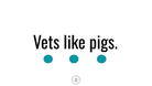 Direct Decodable – Vets Like Pets - Group 4 Level A