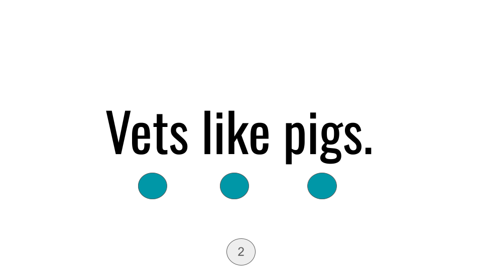 Direct Decodable – Vets Like Pets - Group 4 Level A