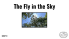 Direct Decodable – The Fly In The Sky - Group 14 Level A