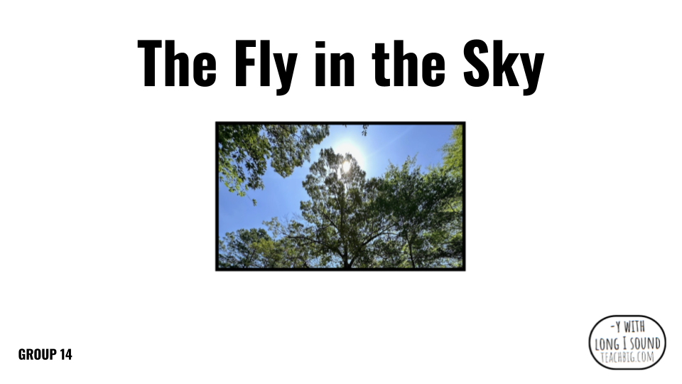 Direct Decodable – The Fly In The Sky - Group 14 Level A