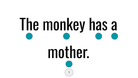 Direct Decodable – The Monkey Has A Mother - Group 15 Level A