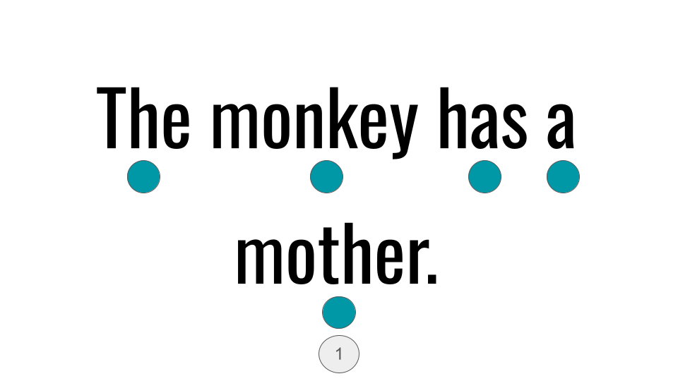 Direct Decodable – The Monkey Has A Mother - Group 15 Level A