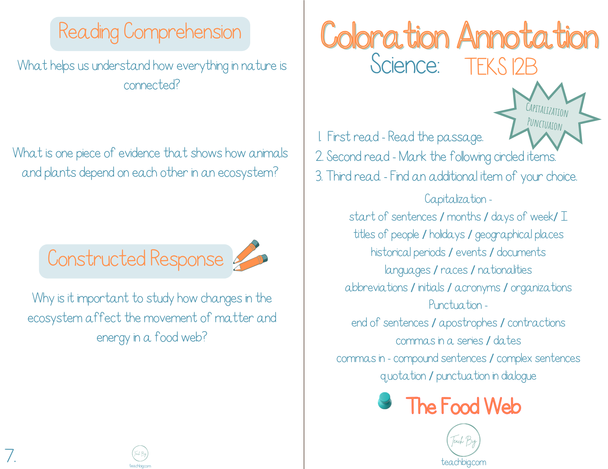 5Th Grade Coloration Annotation: Science - Capitalization & Punctuation