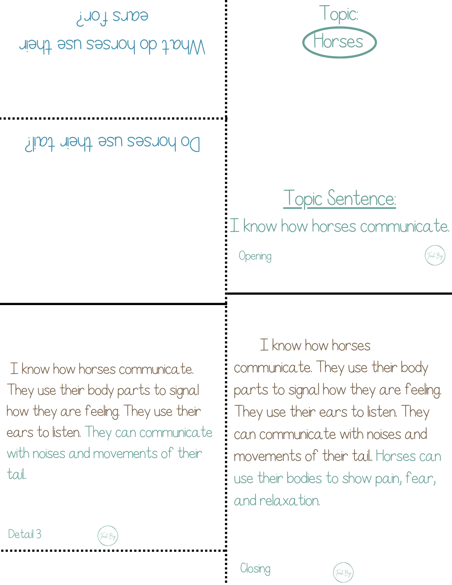 Paragraph Power - Science How Horses Communicate | Whether It Is A Small Group Paired Student