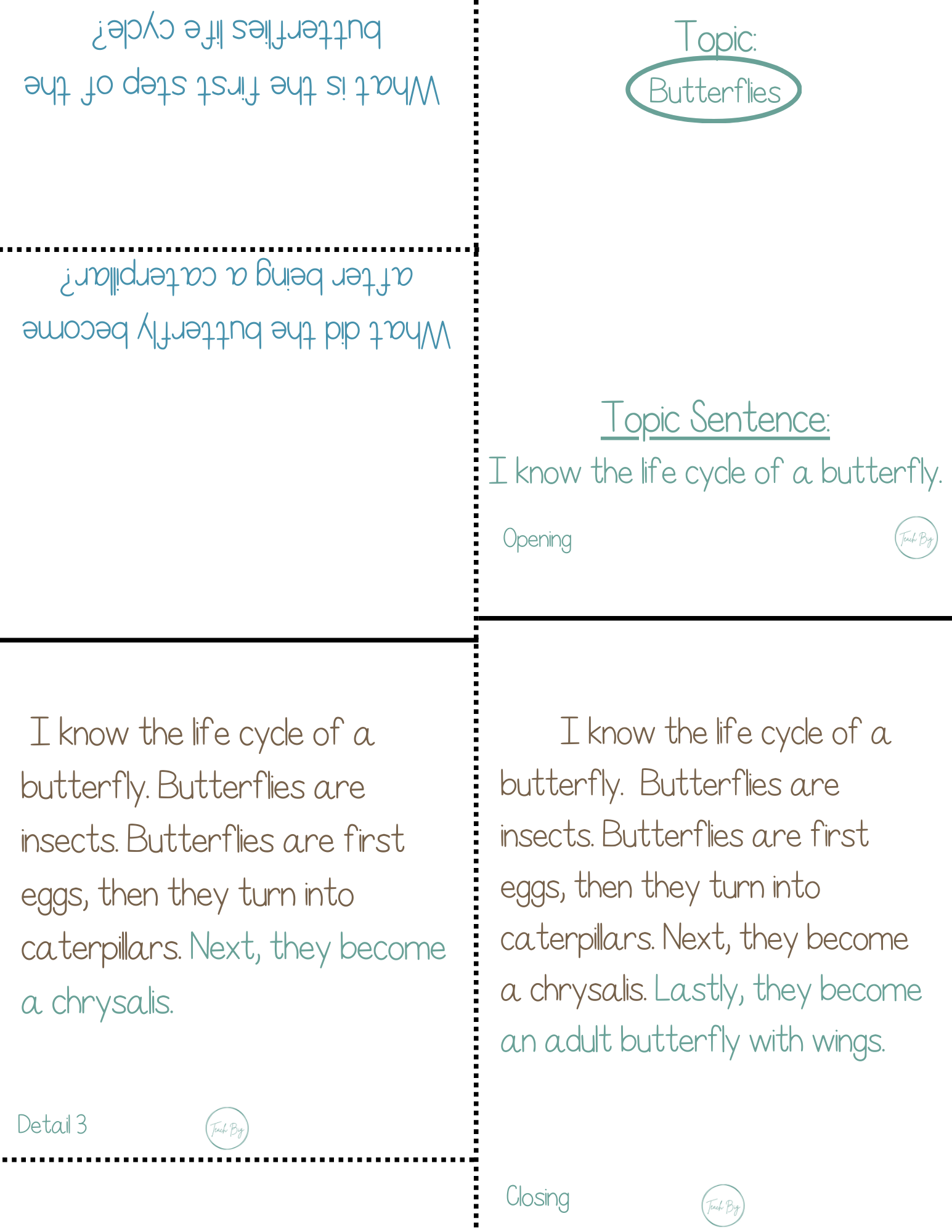 Paragraph Power - Science Life Cycle Of Butterflies | Whether It Is A Small Group Paired Student