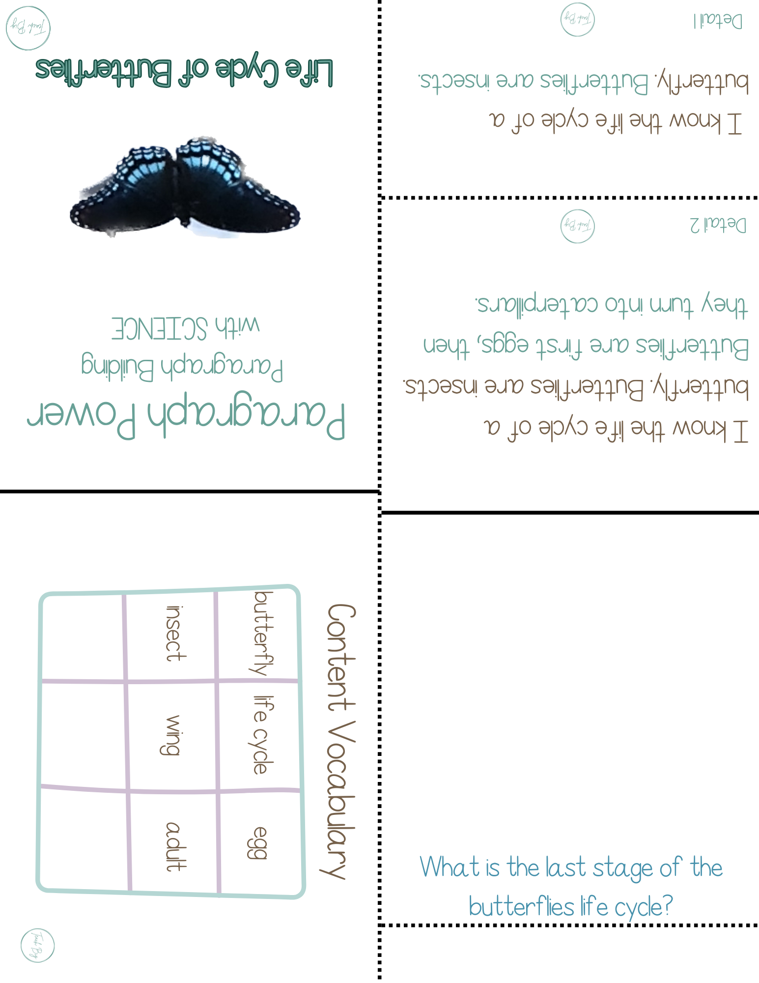 Paragraph Power - Science Life Cycle Of Butterflies | Whether It Is A Small Group Paired Student