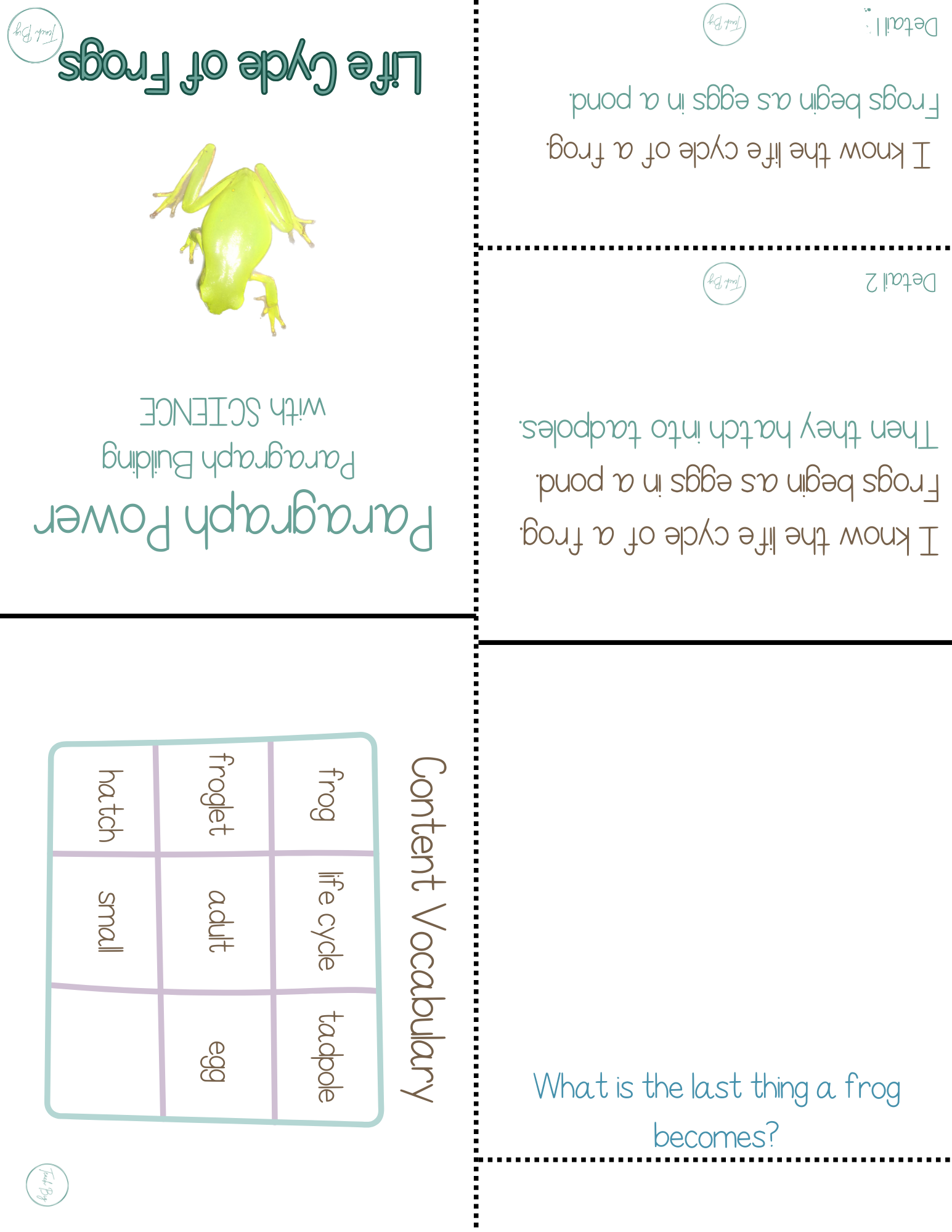 Paragraph Power - Science Life Cycle Of Frogs | Whether It Is A Small Group Paired Student Activity