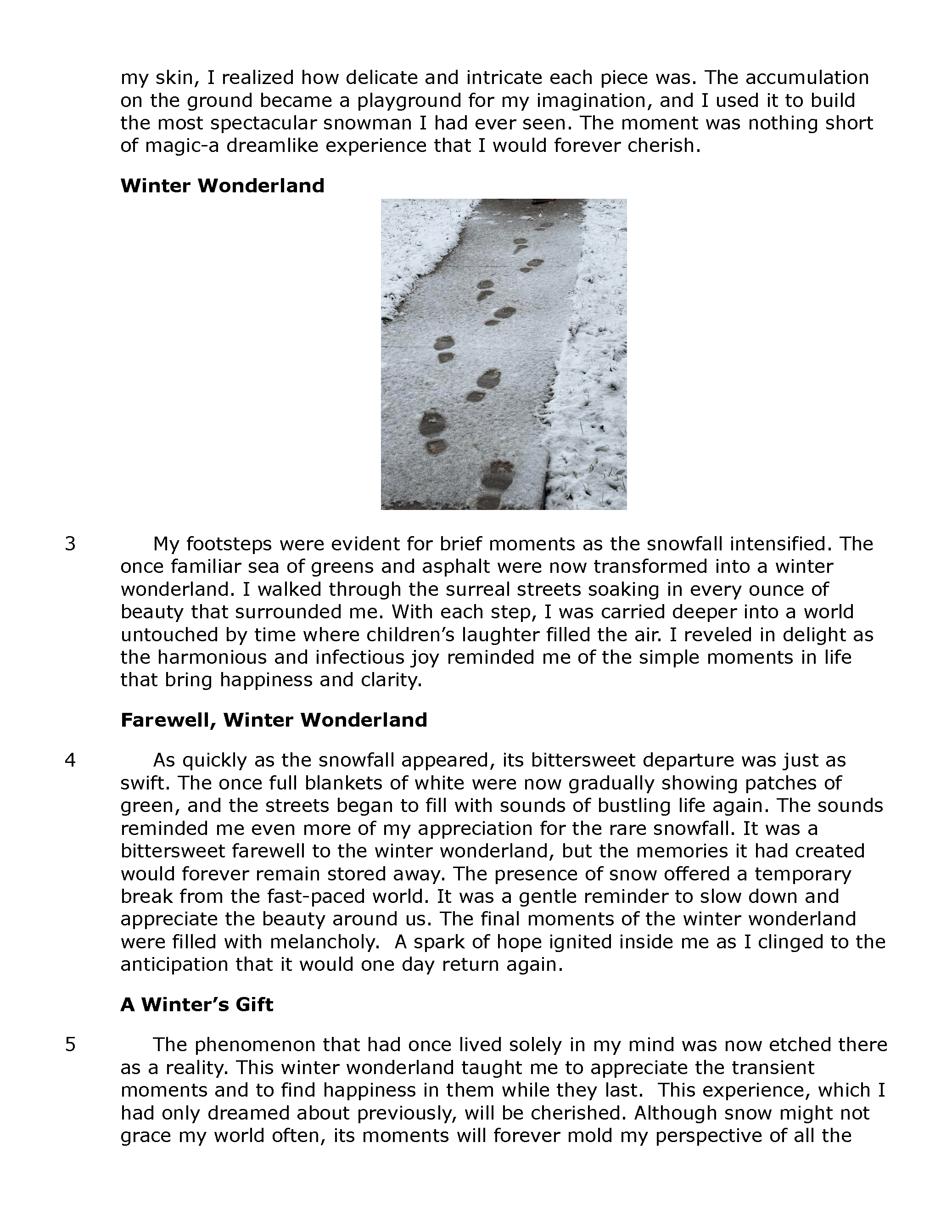 Passage Practice: Fiction - 8Th Grade A Winter’s Gift