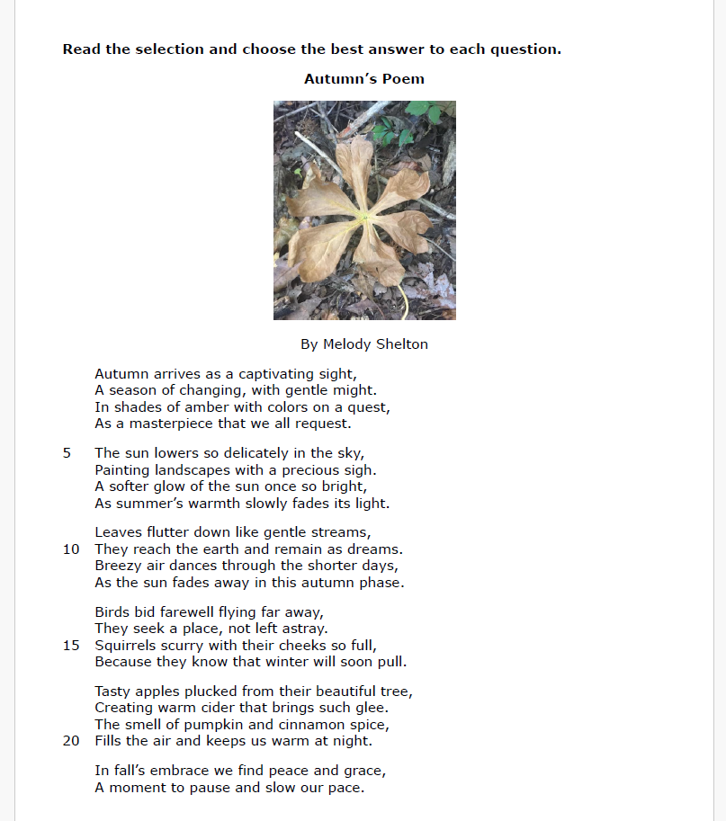 Practice Passage: Set 2 - 3Rd Grade