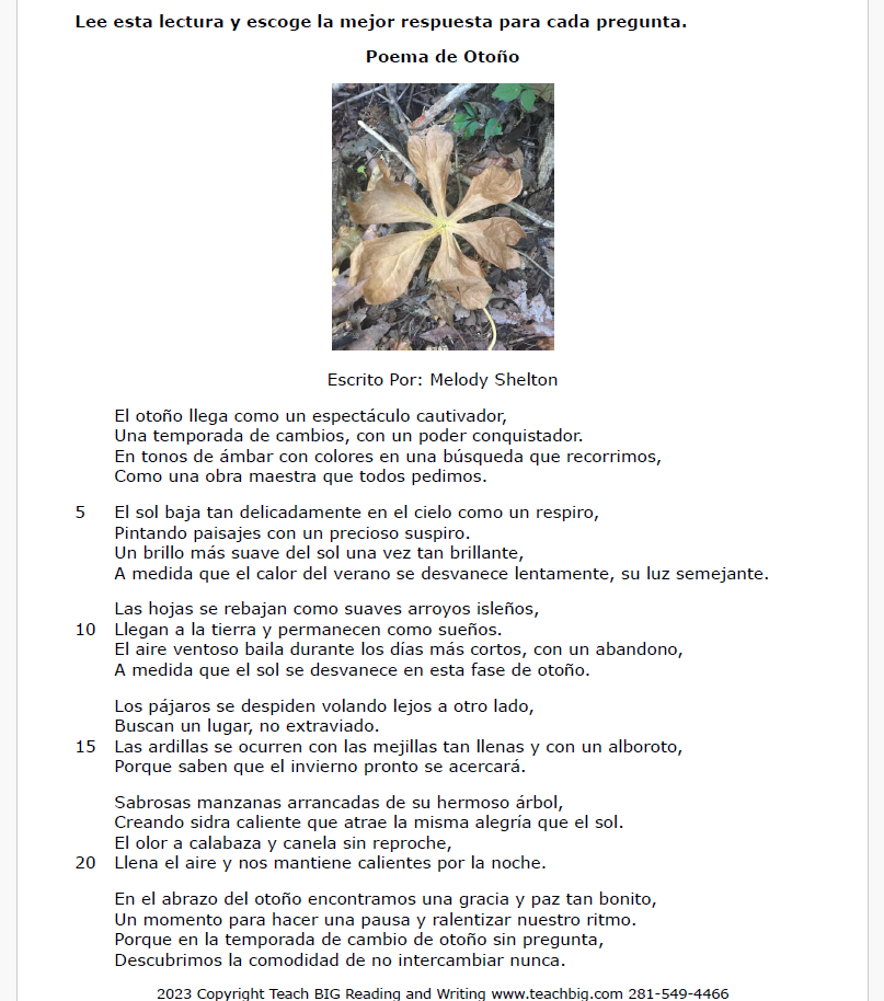 Practice Passage: Poetry – 3Rd Grade Autumn’s Poem | Spanish