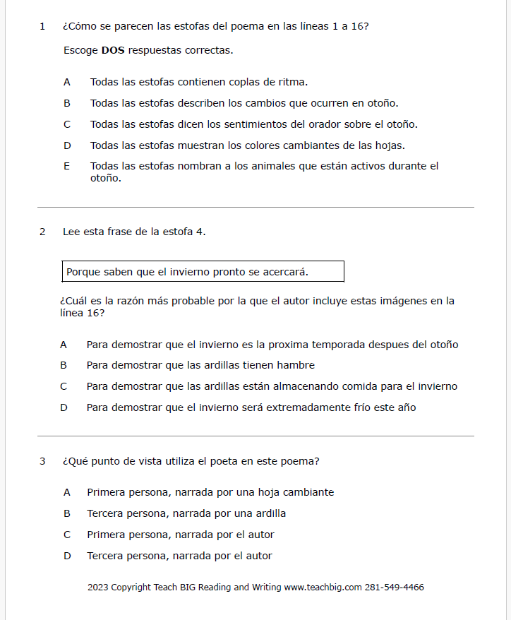 Practice Passage: Set 2 - 3Rd Grade | Spanish