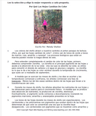 Practice Passage: Nonfiction – 3Rd Grade Why Leaves Change Colors | Spanish