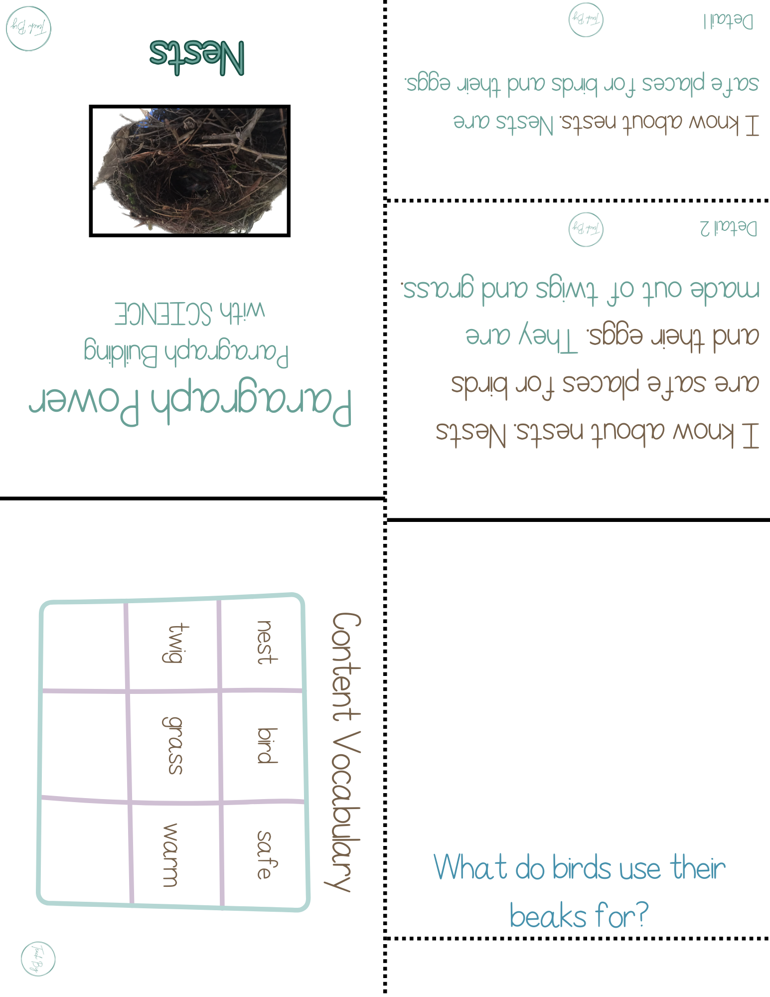 Paragraph Power - Science Nests | Whether It Is A Small Group Paired Student Activity Or An