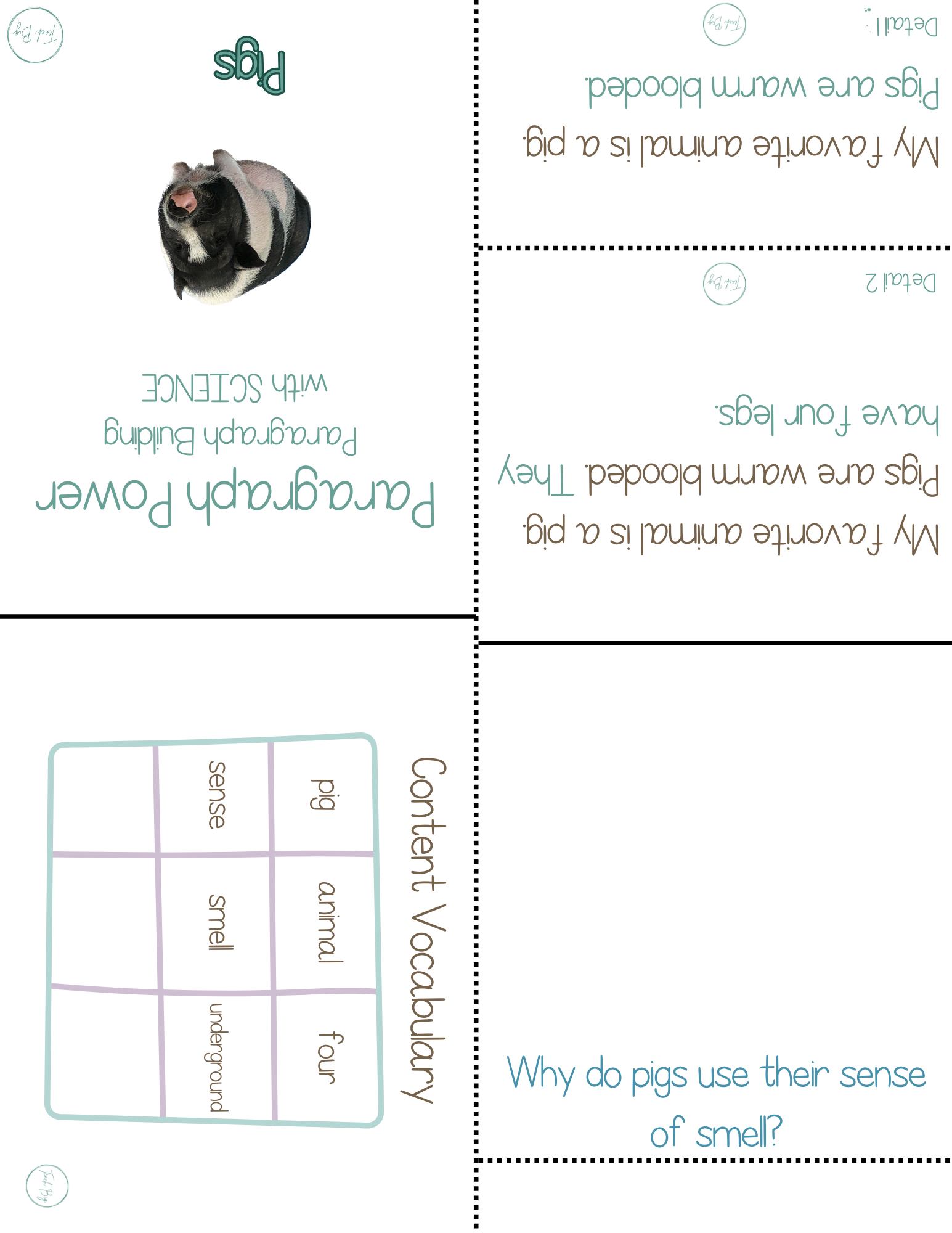 Paragraph Power - Science Pigs | Whether It Is A Small Group Paired Student Activity Or An